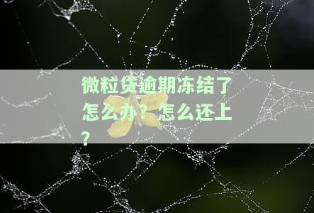 微粒贷逾期：真的会被冻结财产吗？该如何处理？