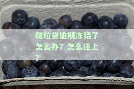 微粒贷冻结了多久恢复？借款、征信、记录全解析！