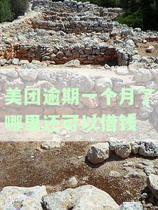 美团逾期一个月了，哪里还能借款？影响及解决办法