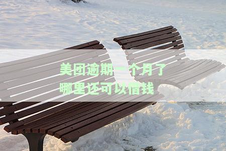 美团欠款逾期一个月：影响及解决办法
