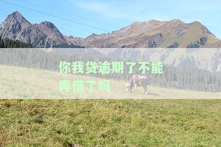 你我贷逾期能否协商还款？可能的后果是什么？