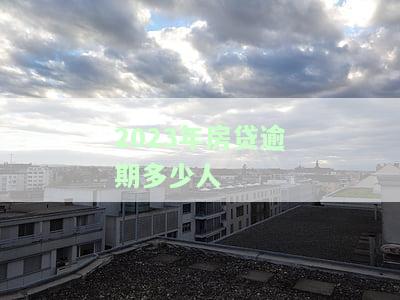 2020年房贷逾期的人多吗，揭秘2020年房贷逾期情况：究竟有多少人未能按时还款？