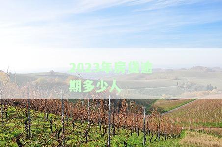2023年房贷逾期多少人-2023年房贷逾期多少人会被起诉