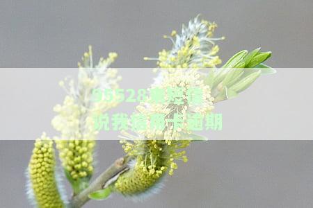 95528来短信说我信用卡逾期：真的还是假的？其他银行也发送类似提醒？