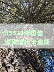 95568、95527、95574、95595均发短信称我贷款逾期