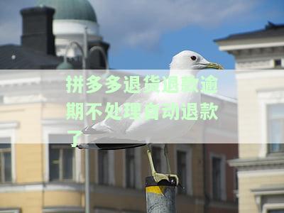 拼多多退货退款卖家逾期未处理,钱自动退回来了，拼多多自动退款：卖家逾期未处理退货申请，款成功退回