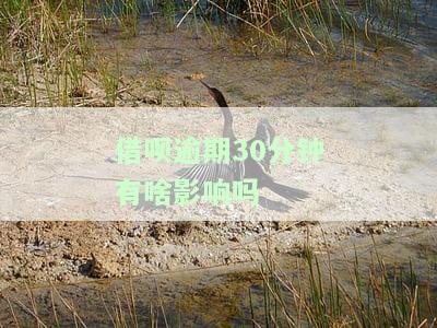 借呗逾期30分有何影响？解决方案是什么？