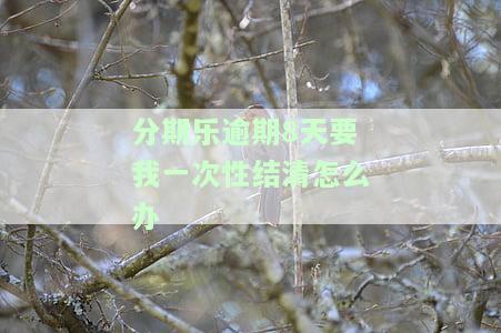 分期乐逾期8天会怎么样？上征信、额度恢复及后果全解析！