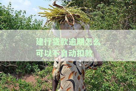 建设银行贷款还款错过自动扣款：如何处理？