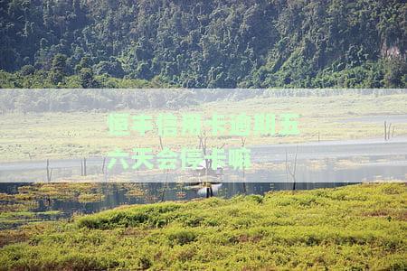 恒丰信用卡逾期五六天会停卡吗？影响及处理方式解析