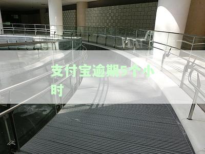 支付宝逾期5个小时会怎样，逾期5小时：支付宝会对你的账户产生什么影响？