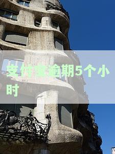 支付宝逾期半小时：会产生什么影响？需要立即还款吗？