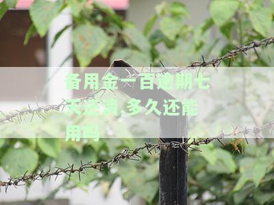 备用金一百逾期七天还清，多久还能用吗-备用金100逾期一天还了多久可以正常使用