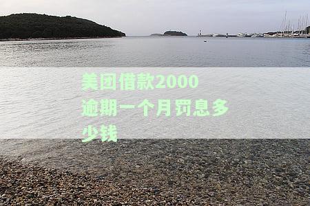 美团借钱逾期罚息一天多少？计算方法及影响因素解析