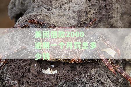 美团借款2000逾期一个月罚息多少钱-美团借款2000逾期一个月罚息多少钱啊