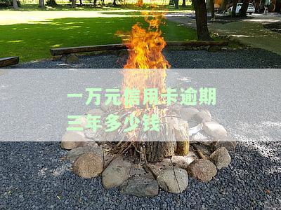 欠信用卡1万3年未还，现需偿还本金及利息，请问具体金额是多少？