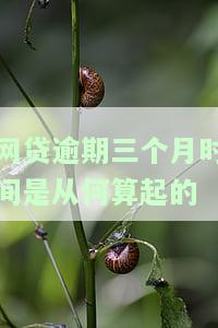 网贷逾期三个月时间是从何算起的-网贷逾期三个月时间是从何算起的呢