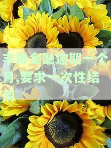 丰田金融逾期会影响其他贷款申请吗？逾期解决方案及影响解析