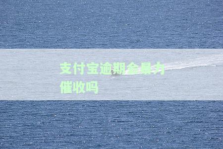支付宝逾期会暴力催收吗-支付宝逾期会暴力催收吗知乎