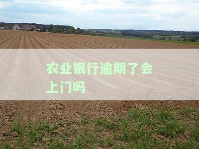 中国农业银行逾期，警惕！中国农业银行出现逾期情况，您是否也受到影响？