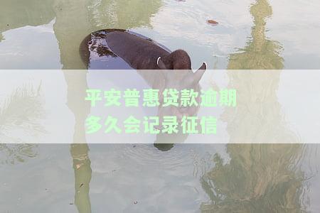 平安普贷款逾期几天上征信，警惕！平安普贷款逾期几天将被记录在个人信用报告中