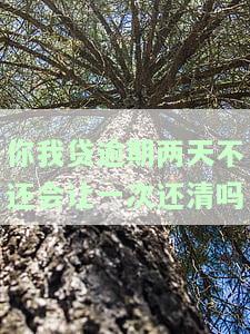 你我贷逾期两天会怎么样，逾期两天：你我贷的后果是什么？