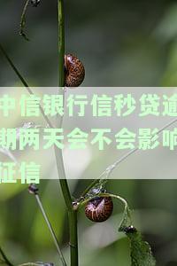 中信信秒贷逾期两天,到期了全还清了,还能贷出来吗，中信信秒贷逾期两天后全部还清，是否能再次申请贷款？