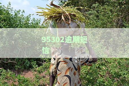 95352逾期短信：95302、95352、逾期中心及1065短信提示贷款逾期