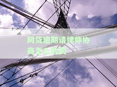 网贷逾期委托律师协调，专业法律援助：委托律师处理网贷逾期问题