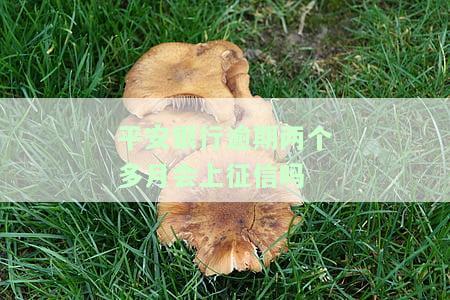 平安银行逾期2个月，逾期2个月，平安银行客户面临严重后果