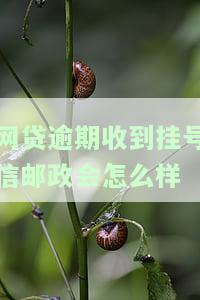 网贷逾期收到邮政挂号信是被起诉了吗，网贷逾期后收到邮政挂号信，是否意味着已经被起诉了？