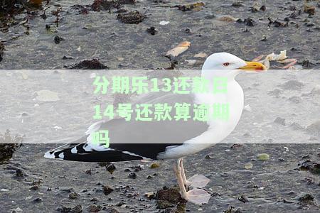 分期乐每月14号还款，重要提醒：请记得在每月14号按时还款，以免逾期影响信用记录！