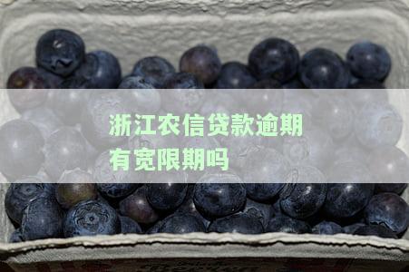 浙江农信贷款逾期有宽限期吗