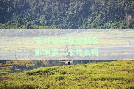 支付宝花呗逾期是否会从小号扣款？安全吗？逾期后会直接扣款吗？会影响账户使用吗？