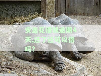 安逸花逾期四天：紧急联系人会被联系，已还还需一次性结清？逾期四天后被告知可能被起诉