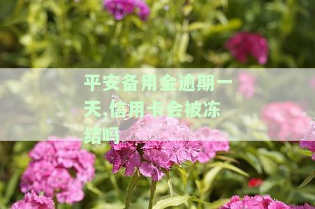 平安备用金逾期一天，信用卡会被冻结吗？如何解决及影响信用？