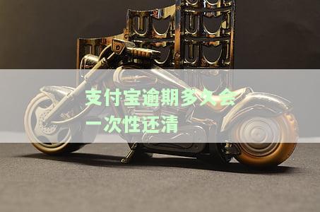 支付宝逾期最多多久，了解你的权益：支付宝逾期最长期限是多少？