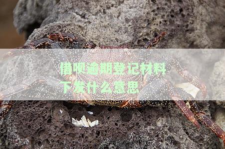 借呗逾期登记材料下发：含义、处理方法及真实性探讨