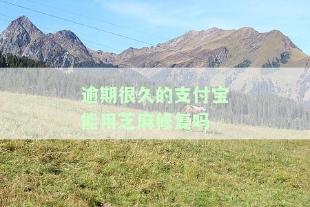逾期很久的支付宝能否用芝麻修复？真的安全吗？除了芝麻粒还有其他修复方式吗？逾期后如何提高芝麻信用？支付宝逾期芝麻信用不上升怎么办？