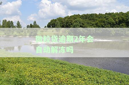 微粒贷逾期2年会自动解冻吗？解决办法及影响解析