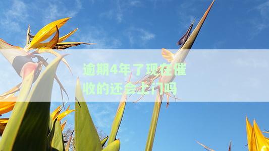 逾期四年后还会上征信吗？逾期四年了会坐牢不？能否协商还款及后续措