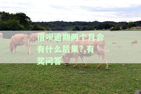 借呗逾期两个月是不是以后都不能用了，借呗逾期两个月后是否还能继续使用？