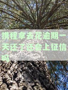 携程拿去花逾期一天会有何后果？逾期多久会影响个人信用、给家人打电话？是否会影响携程信用卡？