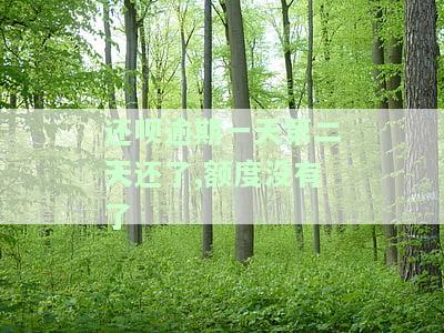 还呗逾期了一天还进去就拿不出来了，逾期一天还款，还呗账户被冻结无法取出资金