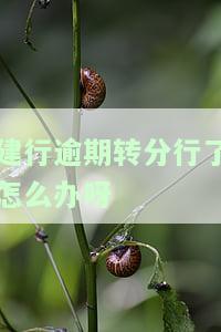 建行还款逾期后存入银行需要通知扣款吗，建行还款逾期后，存入银行是否需要通知扣款？