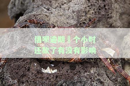 借呗逾期两个小时：会影响征信记录、额度及能否联系客服？