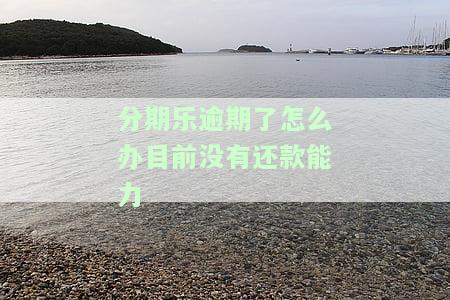 分期乐逾期了该怎么办？了解可能的后果与解决方法