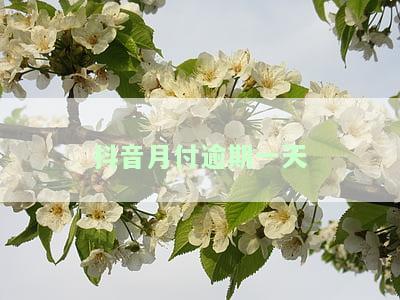 抖音月付逾期一天-抖音月付逾期一天会上征信吗