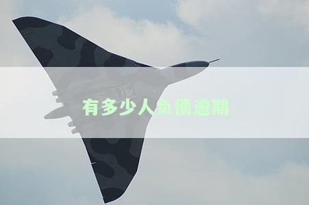 2021中国到底有多少人负债逾期，揭秘2021年中国负债逾期人数：令人震惊的数字