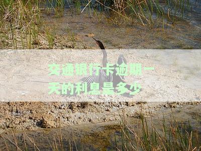 交通银行卡逾期一天的利息是多少